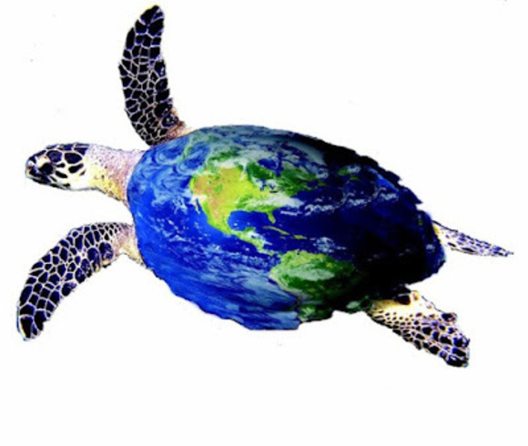 Meet your Posher, Sandi - Picture 1 of 1